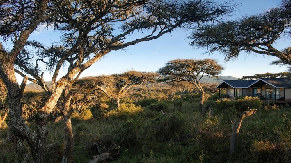 Karibu Camps And Lodges Lions Paw Ngorongoro 卡拉图 外观 照片